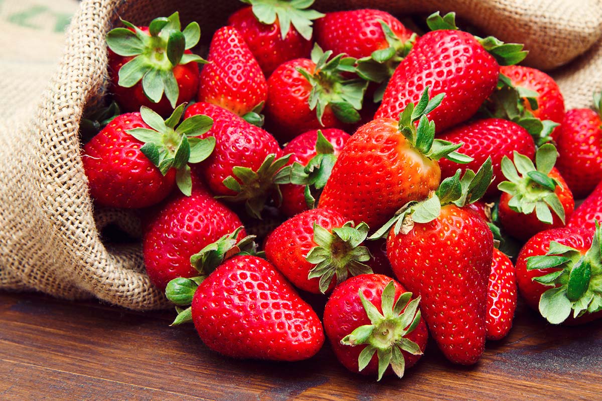 Fruity